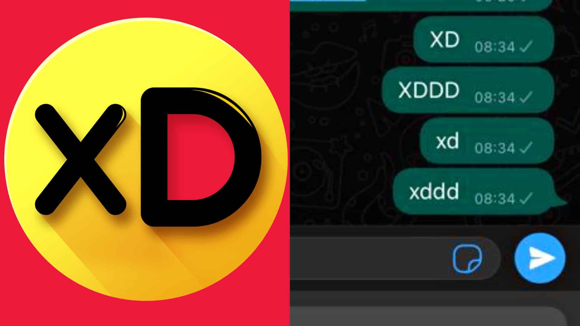 xr:d:DAFFdMr6I k:244,j:31073436990,t:22071913